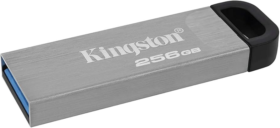 Memoria Flash Kingston Usb 256gb 3.2 Gen 1 Metalica (dtkn/256gb), Kingston